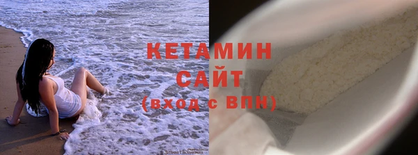 дживик Няндома