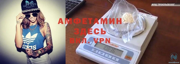 дживик Няндома