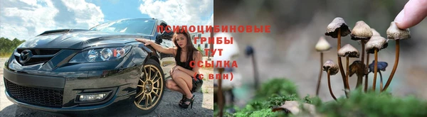 ПСИЛОЦИБИНОВЫЕ ГРИБЫ Нягань