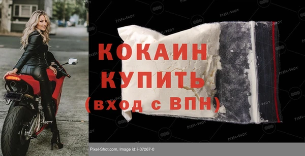 дживик Няндома