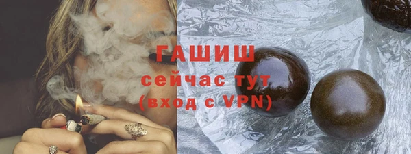 дживик Няндома
