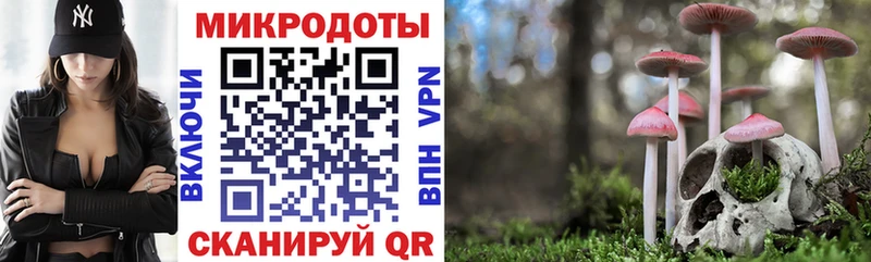 omg маркетплейс Терек Псилоцибиновые грибы Cubensis